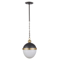 Otis One Light Pendant — 35.00"