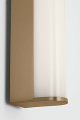 Cavitt 30 LED Vanity