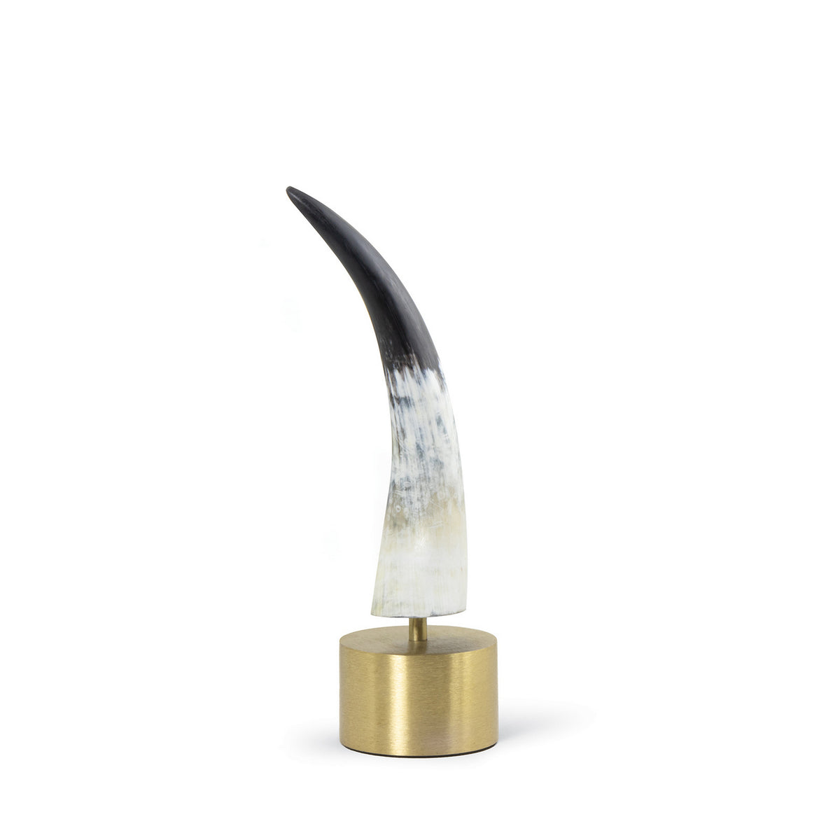 Daylon Horn — 15.00"