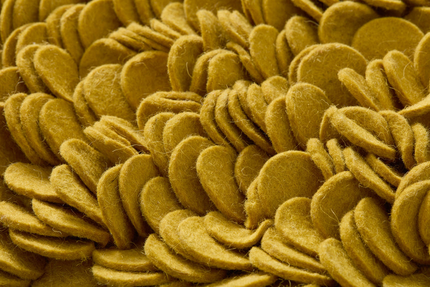 Tumeric Wall Art