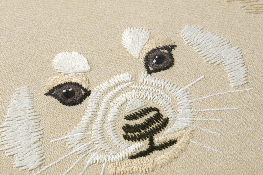 Red Panda Wall Art