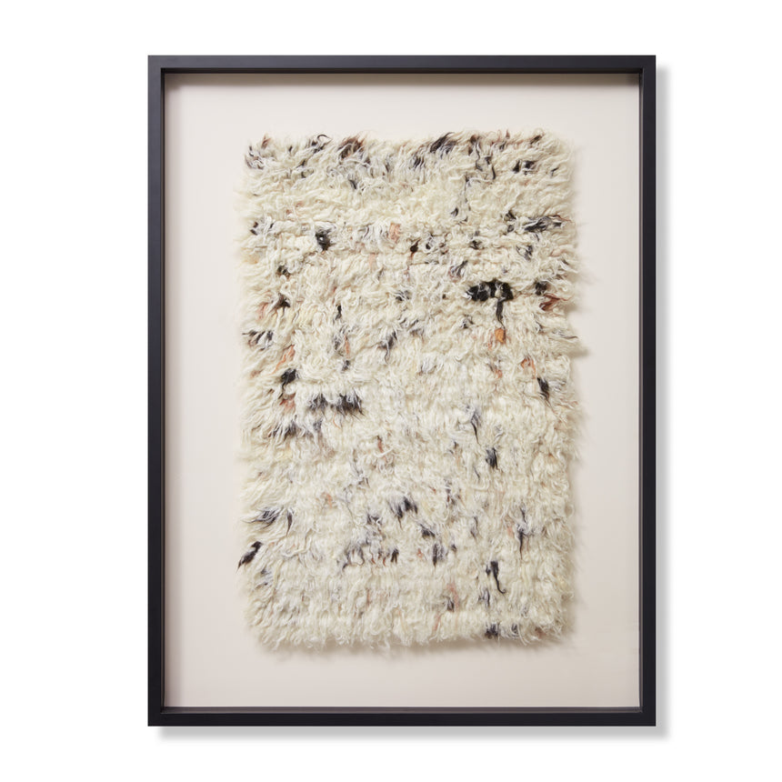 Vicuna Wall Art