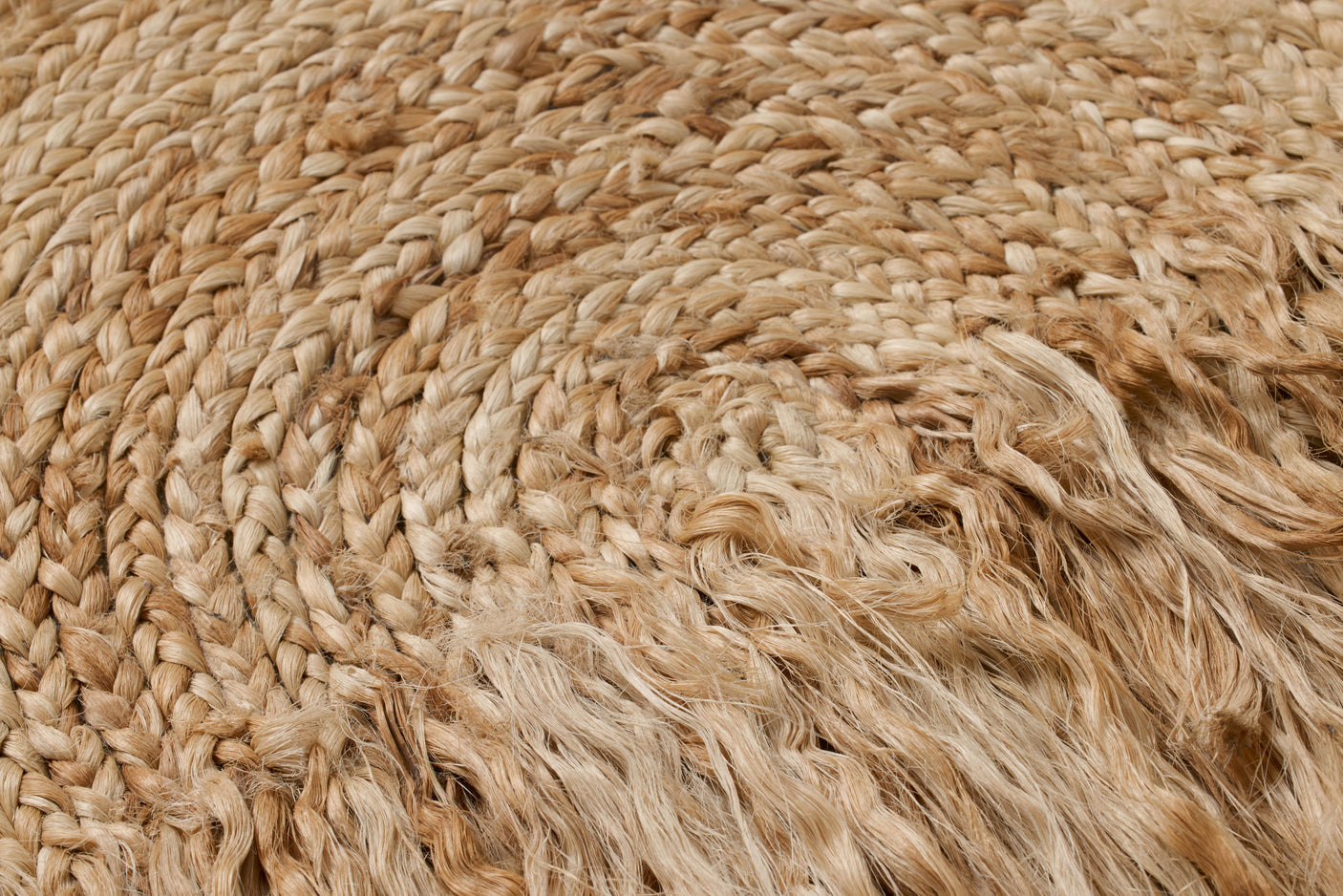 Afternoon Sunshine Wall Art