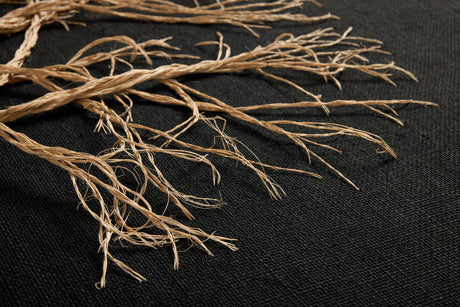 Rooted Wall Art