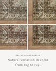 Loloi Rugs | The Billie Collection