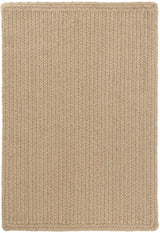 Rio Braided Handwoven Indoor/Outdoor Rug