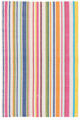 Summer Stripe Handwoven Indoor/Outdoor Rug