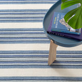 Road Runner Handwoven Indoor/Outdoor Rug