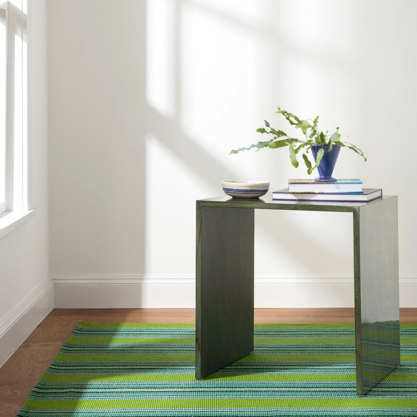 Road Runner Handwoven Indoor/Outdoor Rug