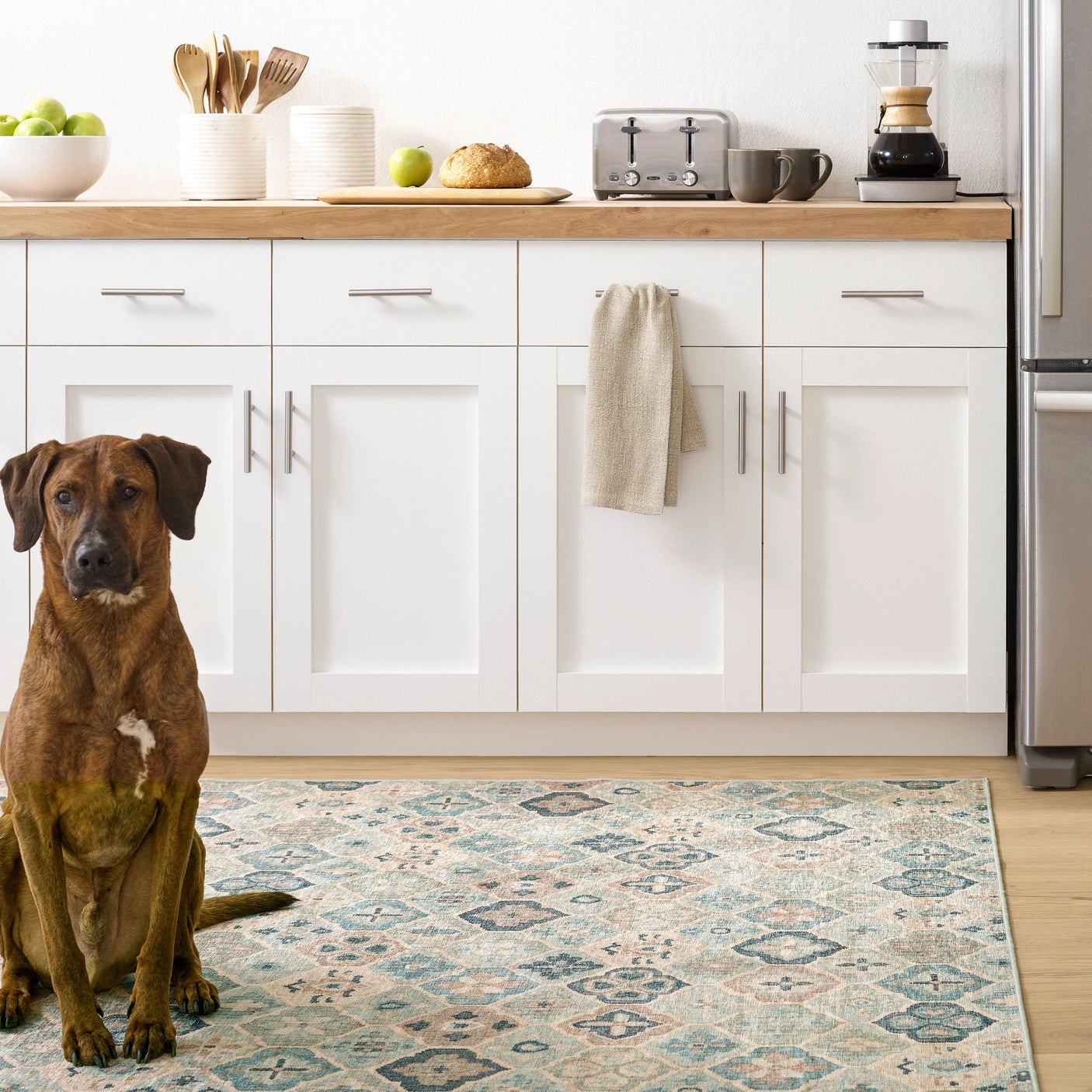 Pali Machine Washable Rug