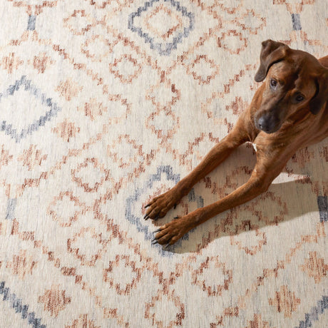 Jelly Roll Machine Washable Rug