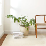 Holmstead Handwoven Wool Rug