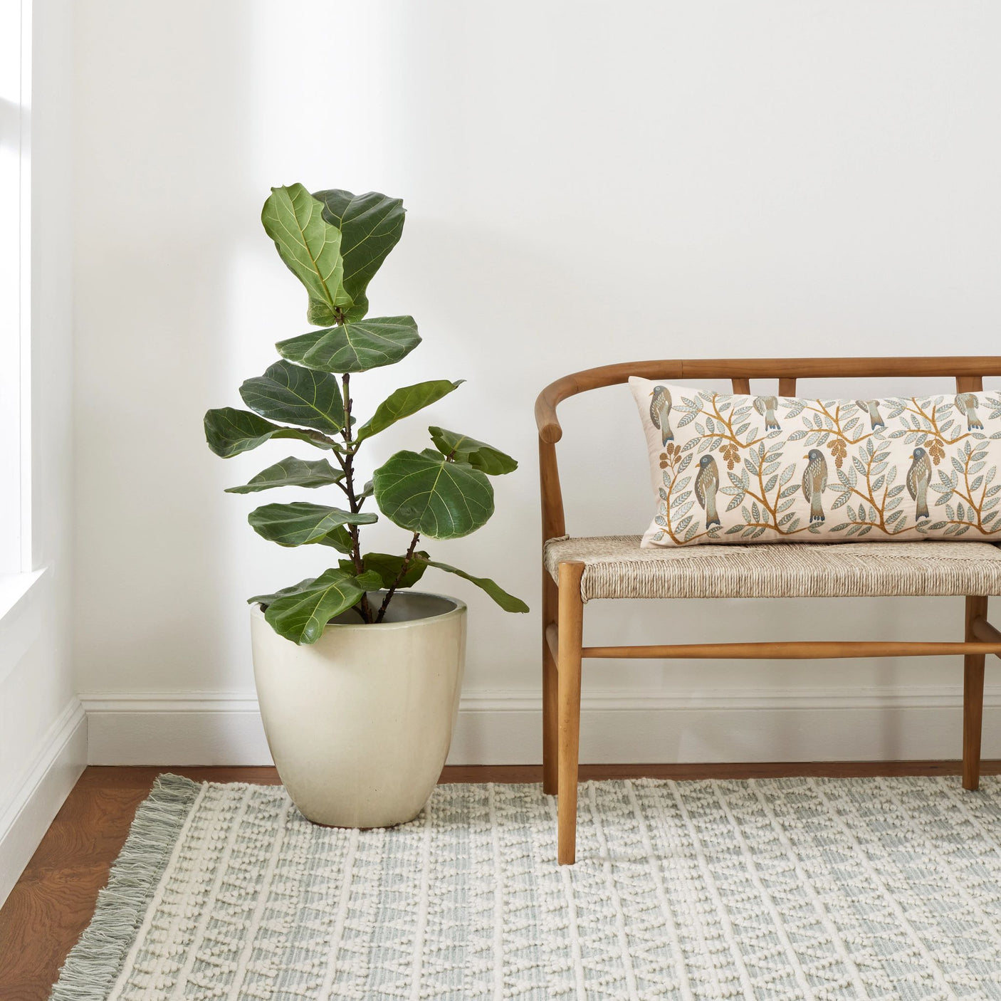 Pembrook Handwoven Wool Rug