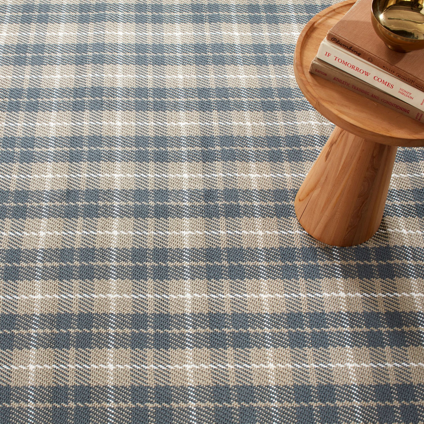 Lakeville Plaid Handwoven Indoor/Outdoor Rug