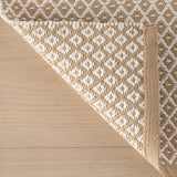 Riviera Handwoven Indoor/Outdoor Rug