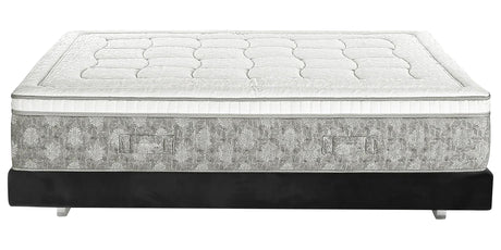 DolceVita Dual 14 Mattress