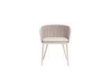 Diva Arm Chair