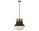 Precision Large Pendant