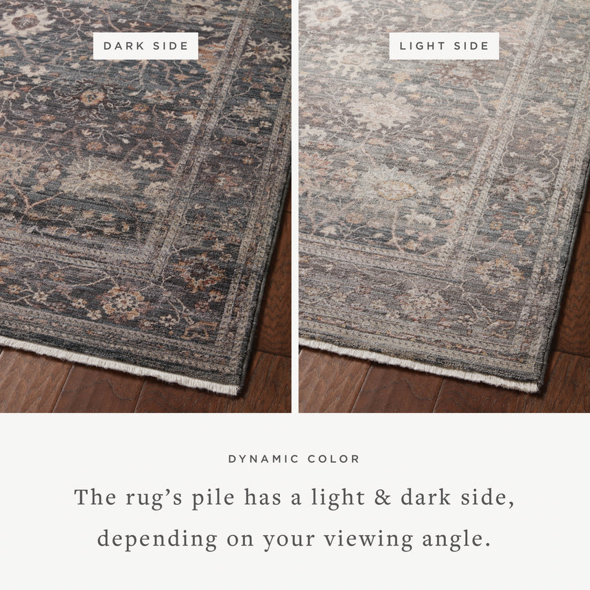 Lyra Rug 04 | Ink / Multi