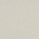 Solid light gray color swatch