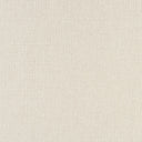 Solid light gray color swatch