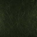 Dark green textured background