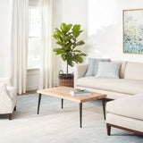 Pandora Hand Loom Knotted Rug