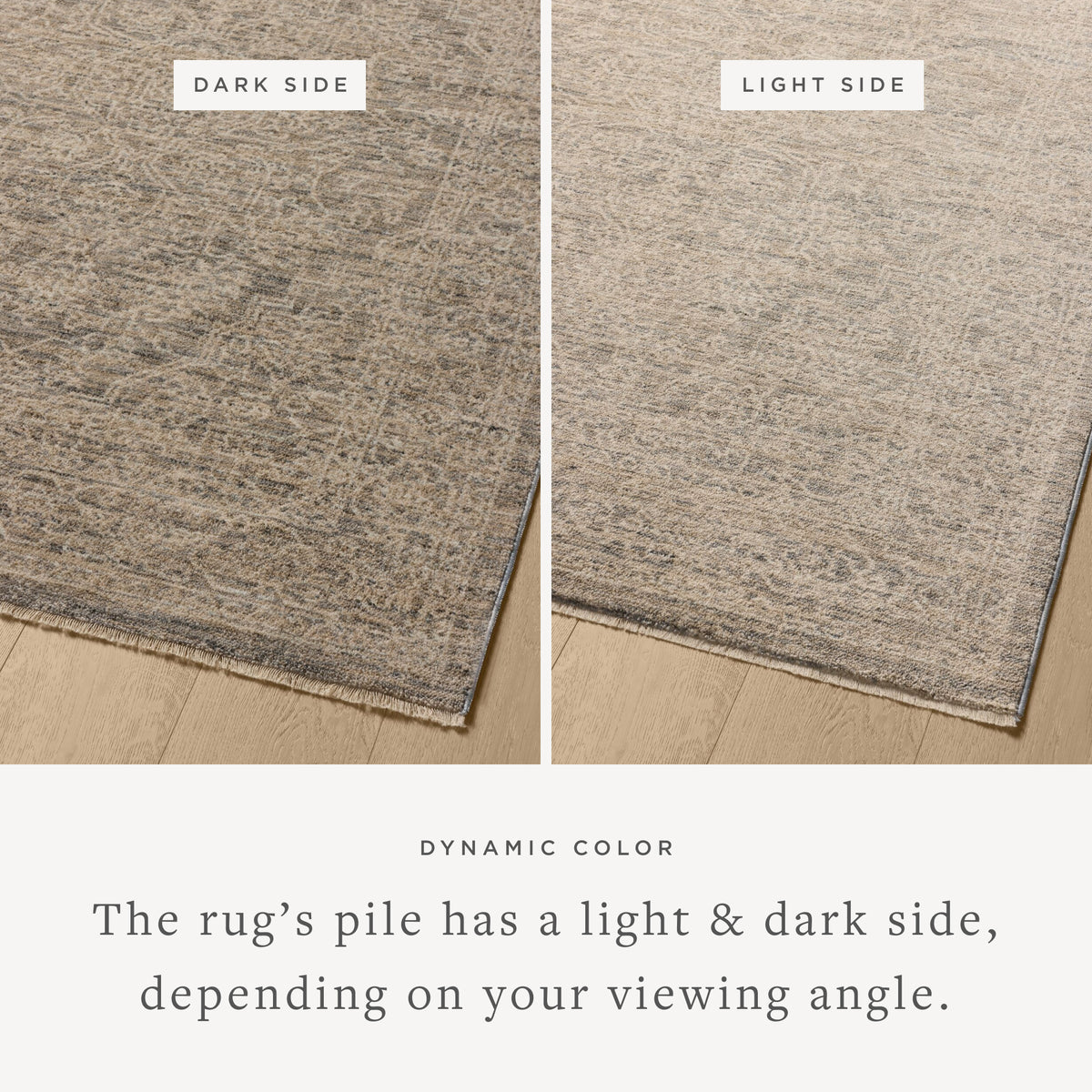 Newman Rug 01