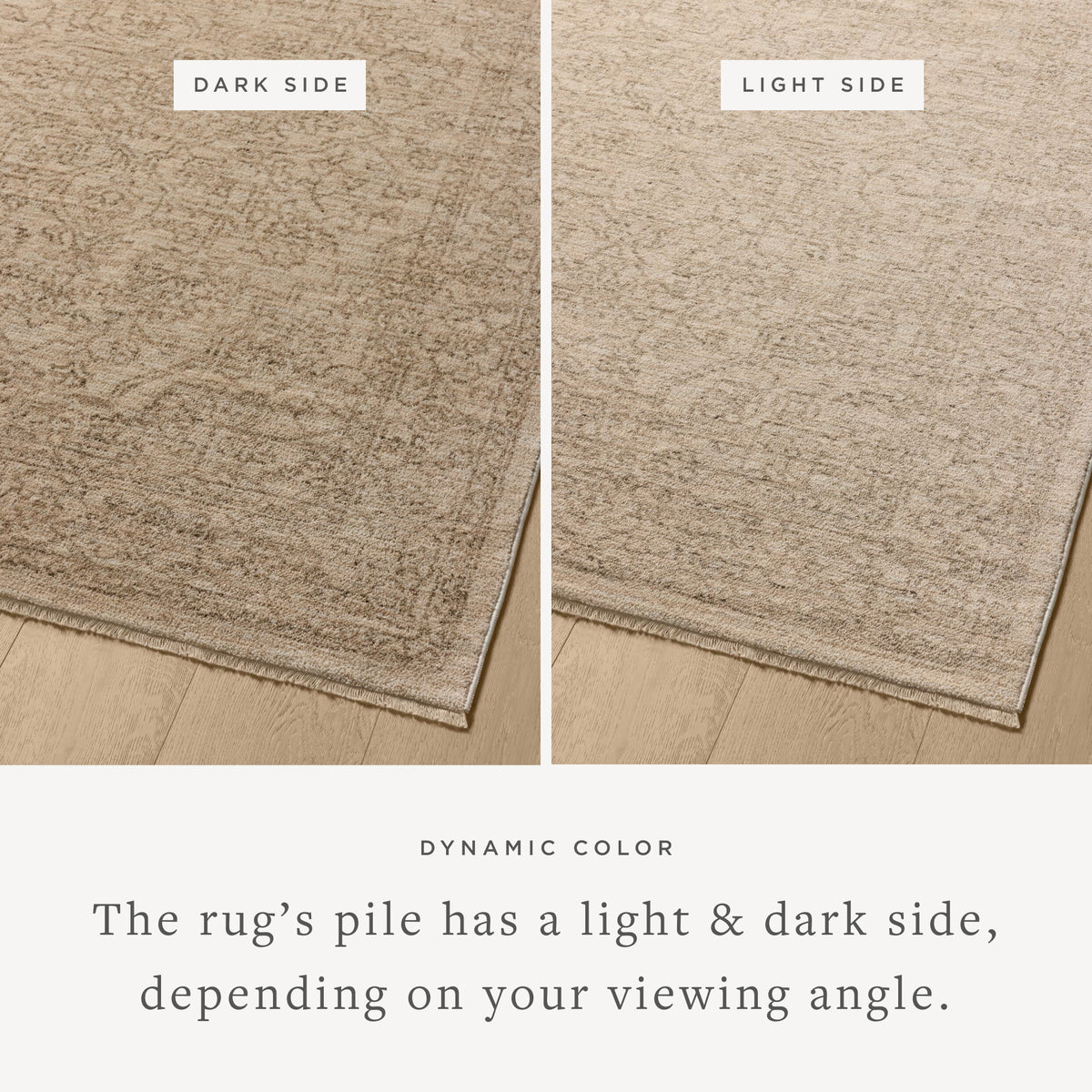 Newman Rug 01