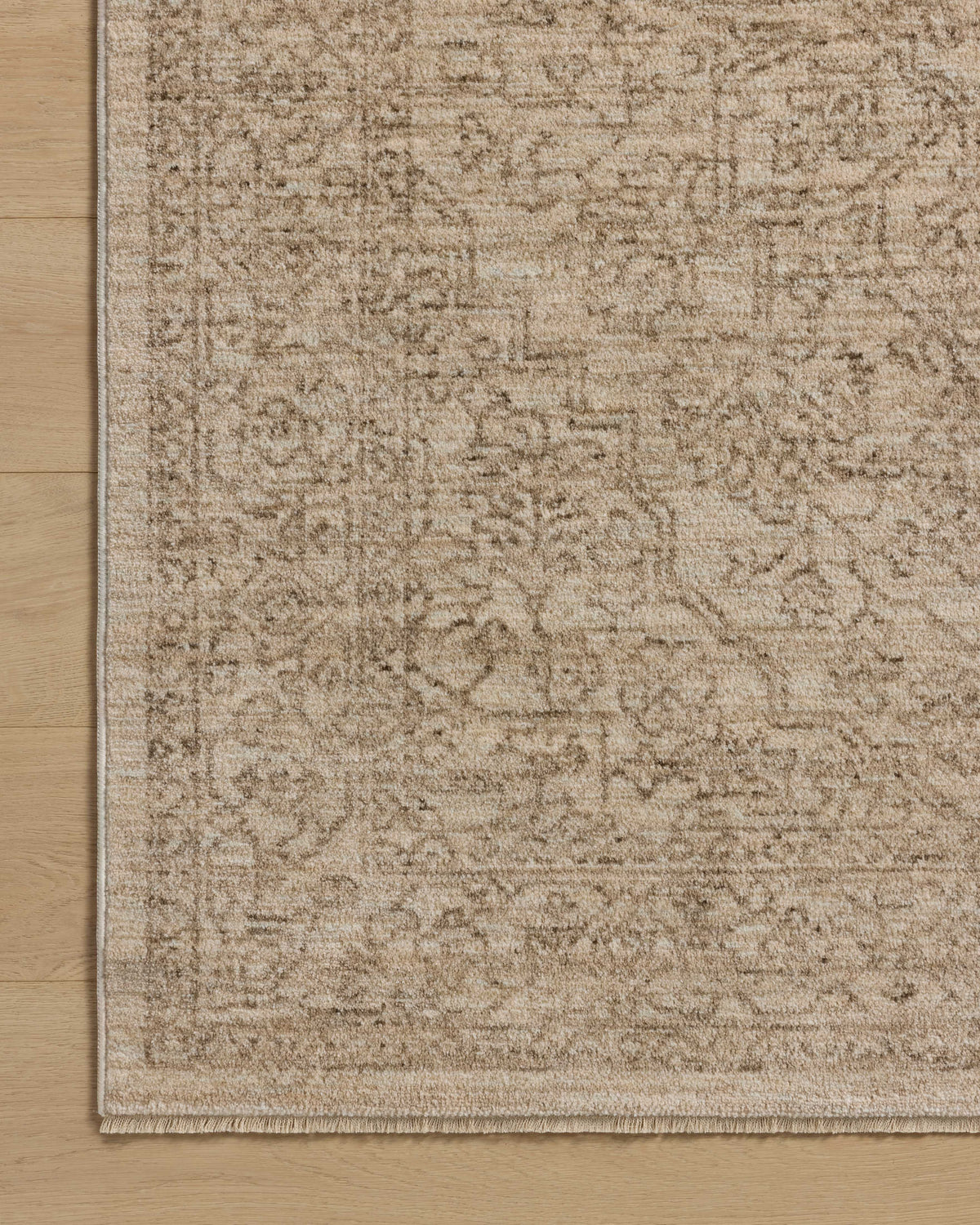 Newman Rug 01