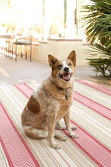 Framboise Handwoven Cotton Rug