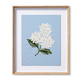 Hydrangea Blue Wall Art