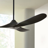 Maverick Coastal 60" Ceiling Fan