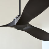 Collins Coastal Smart 60" Ceiling Fan