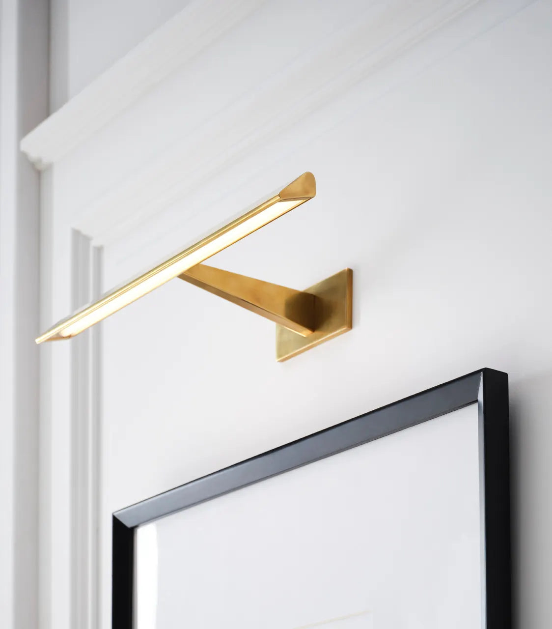 Petrel 18" Picture Light