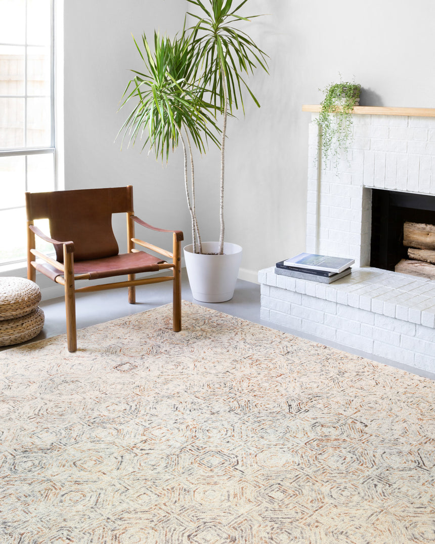 Ziva Rug 02 | Multi