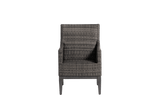 Biltmore Dining Arm Chair