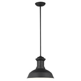 Fredricksburg LED Outdoor Pendant