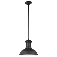 Fredricksburg LED Outdoor Pendant