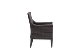 Biltmore Dining Arm Chair