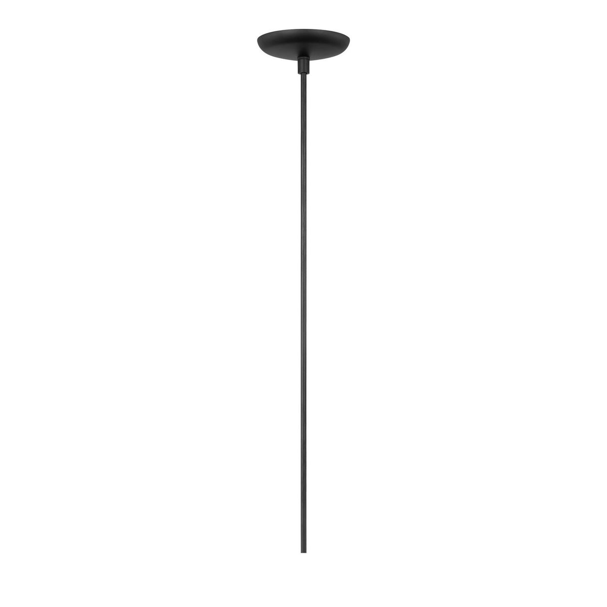 Leo Hanging Globe Extra Large Pendant