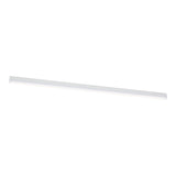 Bowan Four Foot LED Ceiling / Wall Mount