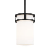 Robie One Light Pendant
