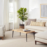 Dash & Albert Herringbone Handwoven Indoor/Outdoor Rug in Linen / White, living room setting