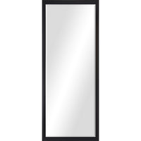 Delacorte Mirror