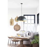 Sigmund One Light Pendant — 12.75"