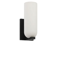 Neblina One Light Vanity