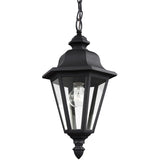 Brentwood 19" Hanging Lantern — Clear