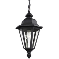 Brentwood 19" Hanging Lantern — Clear