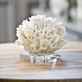 Ribbon Objet